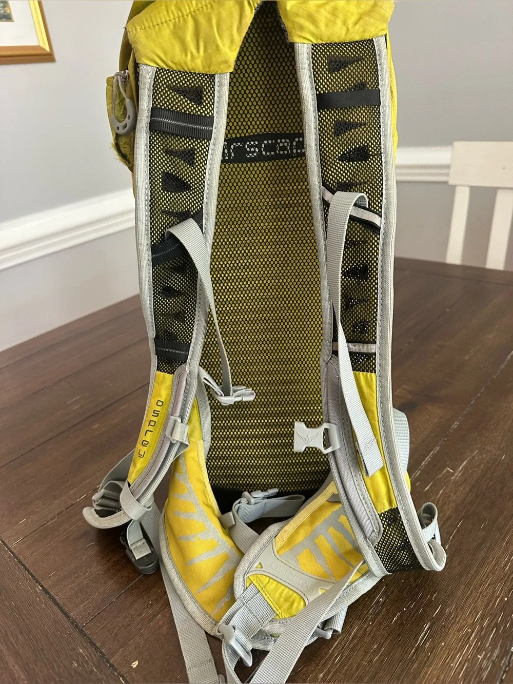 OSPREY raptor 10